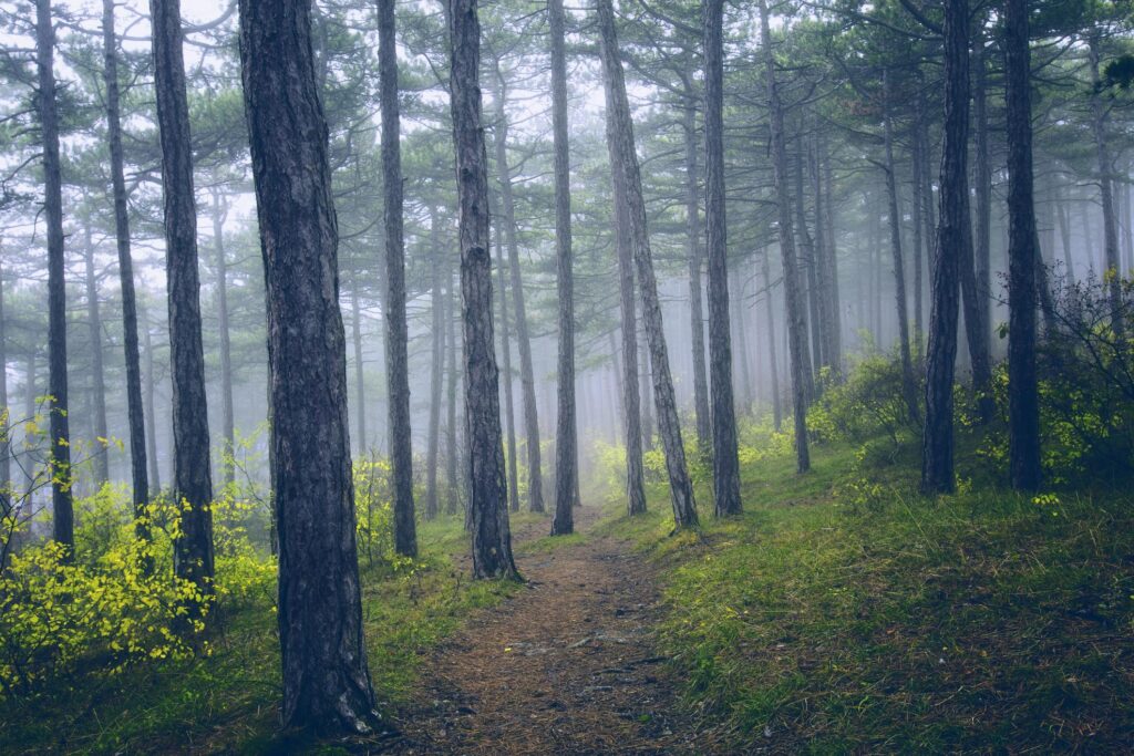 breath
